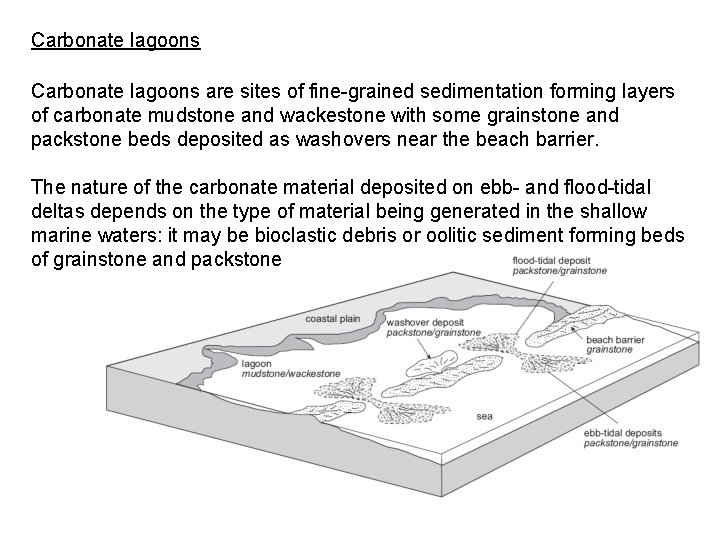 Carbonate lagoons are sites of fine-grained sedimentation forming layers of carbonate mudstone and wackestone