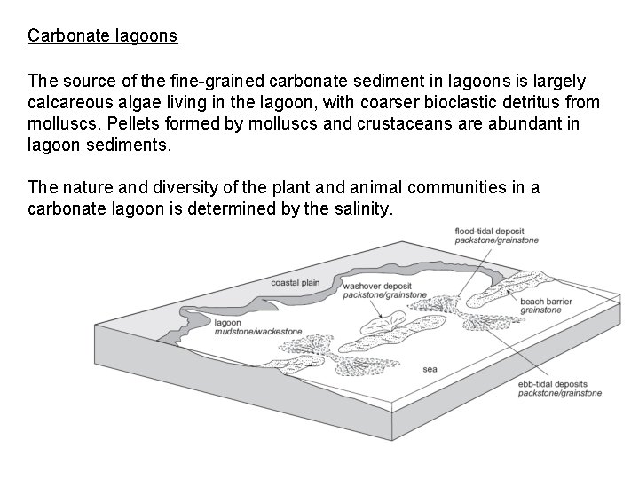 Carbonate lagoons The source of the fine-grained carbonate sediment in lagoons is largely calcareous