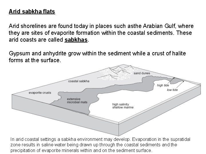 Arid sabkha flats Arid shorelines are found today in places such asthe Arabian Gulf,