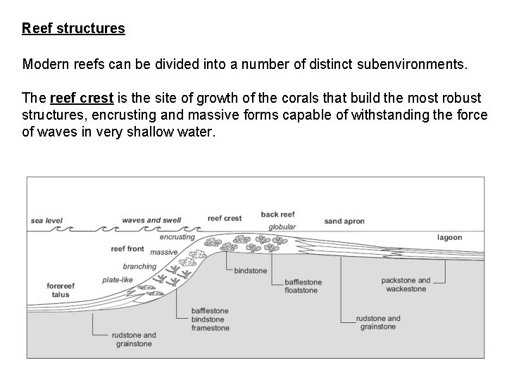 Reef structures Modern reefs can be divided into a number of distinct subenvironments. The