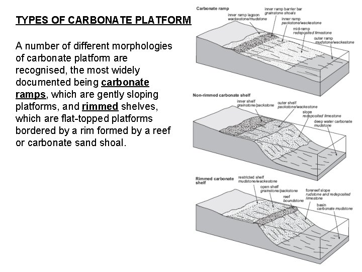 TYPES OF CARBONATE PLATFORM A number of different morphologies of carbonate platform are recognised,
