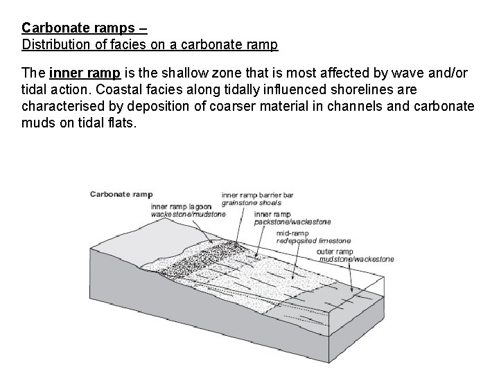 Carbonate ramps – Distribution of facies on a carbonate ramp The inner ramp is