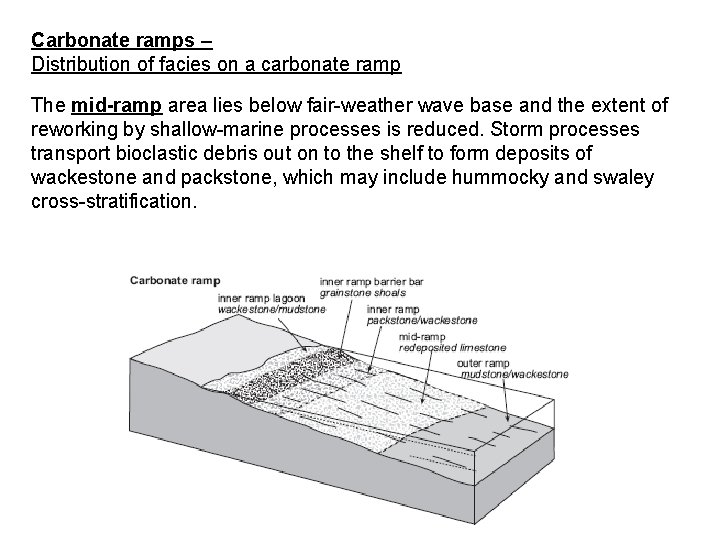 Carbonate ramps – Distribution of facies on a carbonate ramp The mid-ramp area lies
