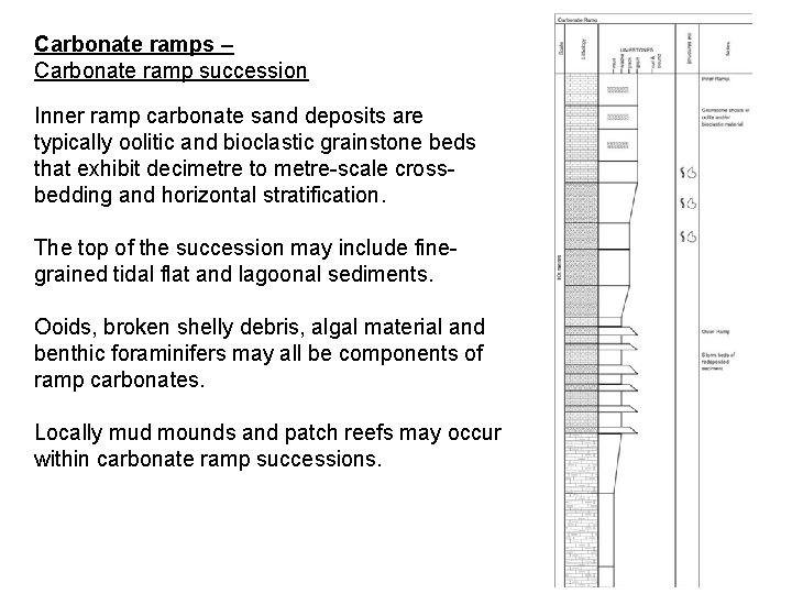 Carbonate ramps – Carbonate ramp succession Inner ramp carbonate sand deposits are typically oolitic