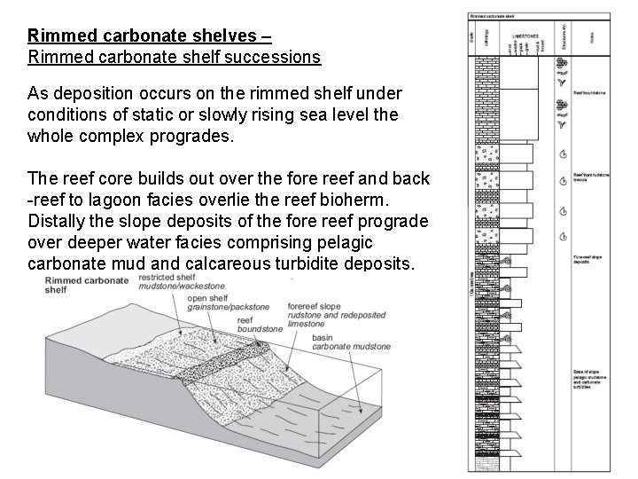 Rimmed carbonate shelves – Rimmed carbonate shelf successions As deposition occurs on the rimmed