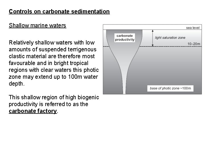 Controls on carbonate sedimentation Shallow marine waters Relatively shallow waters with low amounts of