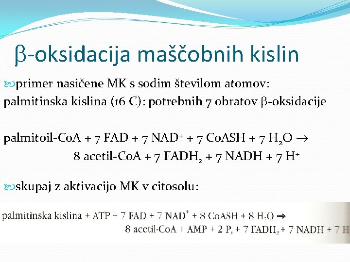  -oksidacija maščobnih kislin primer nasičene MK s sodim številom atomov: palmitinska kislina (16