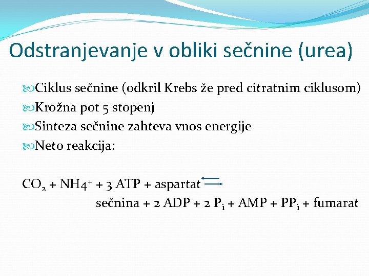 Odstranjevanje v obliki sečnine (urea) Ciklus sečnine (odkril Krebs že pred citratnim ciklusom) Krožna