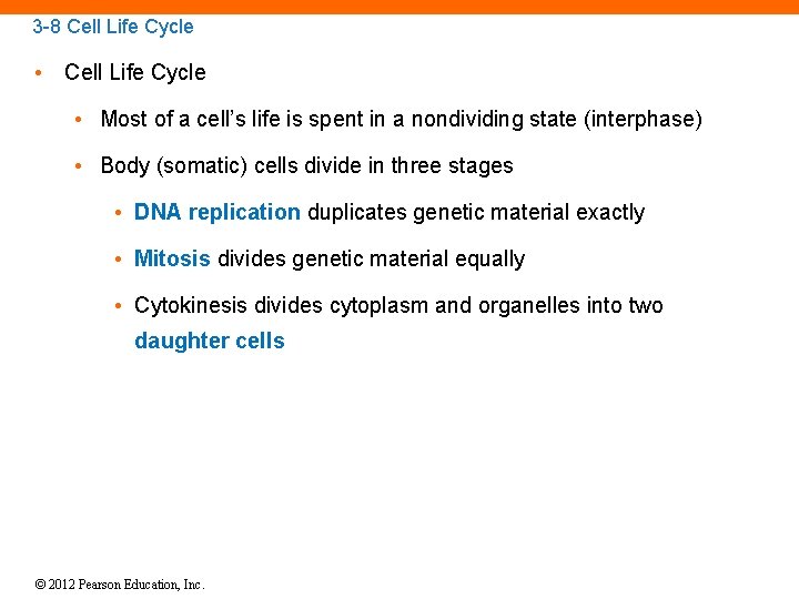 3 -8 Cell Life Cycle • Cell Life Cycle • Most of a cell’s