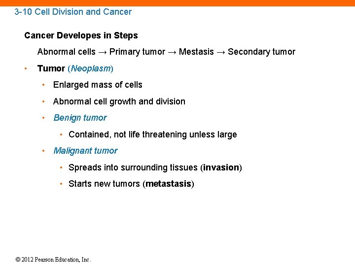 3 -10 Cell Division and Cancer Developes in Steps Abnormal cells → Primary tumor