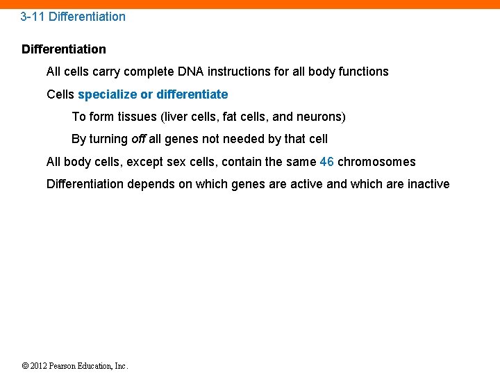 3 -11 Differentiation All cells carry complete DNA instructions for all body functions Cells