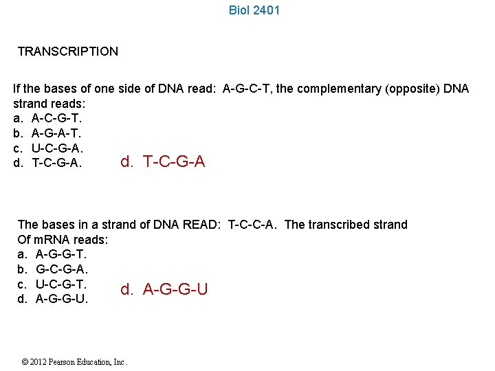 Biol 2401 TRANSCRIPTION If the bases of one side of DNA read: A-G-C-T, the