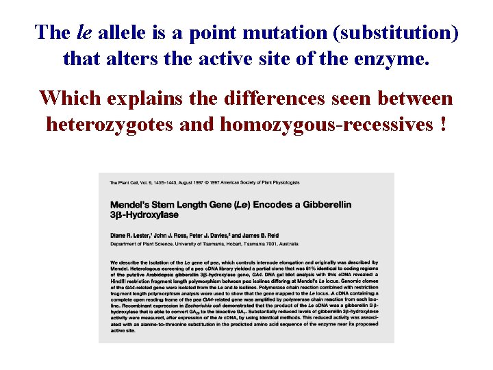 The le allele is a point mutation (substitution) that alters the active site of