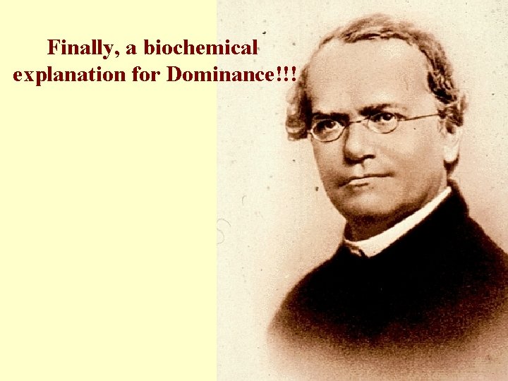 Finally, a biochemical explanation for Dominance!!! 