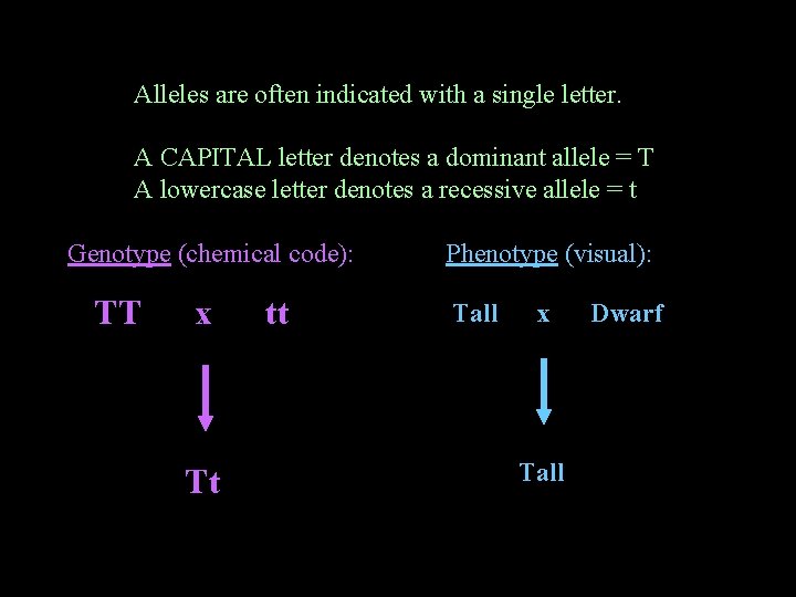 Alleles are often indicated with a single letter. A CAPITAL letter denotes a dominant