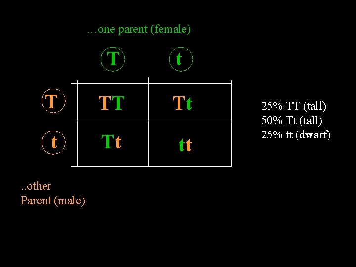 …one parent (female) T t T TT Tt tt . . other Parent (male)