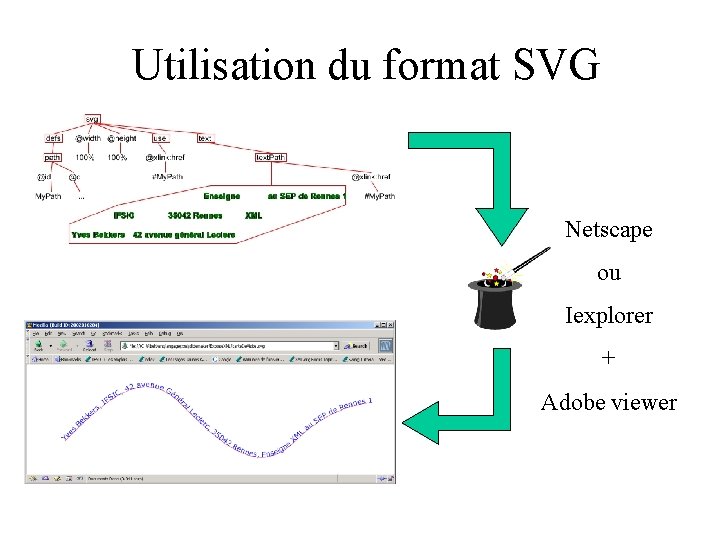 Utilisation du format SVG Netscape ou Iexplorer + Adobe viewer 