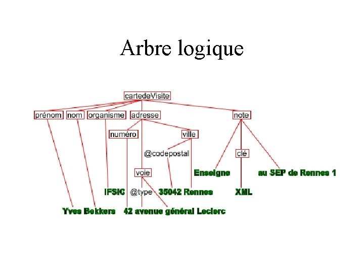 Arbre logique 