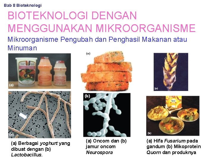 Bab 8 Bioteknologi BIOTEKNOLOGI DENGAN MENGGUNAKAN MIKROORGANISME Mikroorganisme Pengubah dan Penghasil Makanan atau Minuman