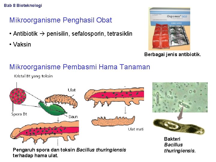 Bab 8 Bioteknologi Mikroorganisme Penghasil Obat • Antibiotik penisilin, sefalosporin, tetrasiklin • Vaksin Berbagai