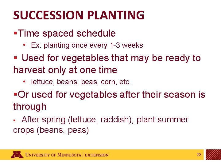 SUCCESSION PLANTING §Time spaced schedule • Ex: planting once every 1 -3 weeks §