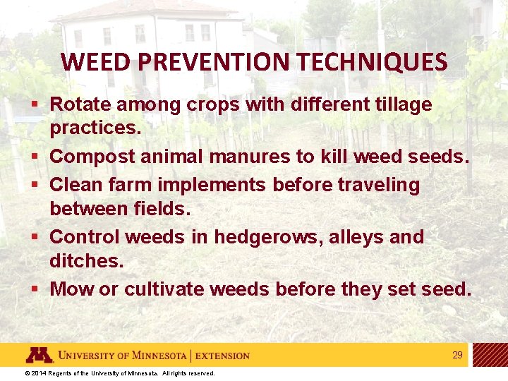 WEED PREVENTION TECHNIQUES § Rotate among crops with different tillage practices. § Compost animal