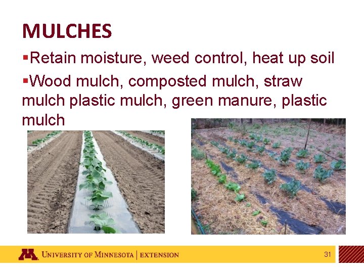 MULCHES §Retain moisture, weed control, heat up soil §Wood mulch, composted mulch, straw mulch