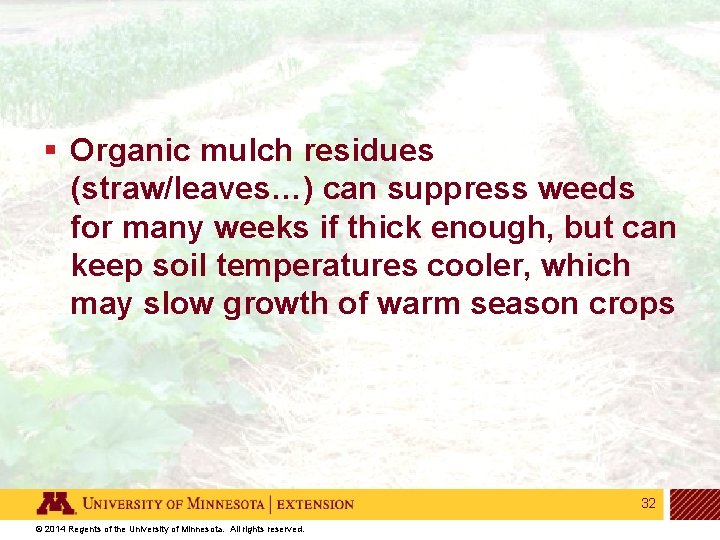 § Organic mulch residues (straw/leaves…) can suppress weeds for many weeks if thick enough,