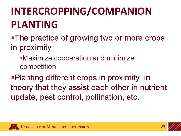 INTERCROPPING/COMPANION PLANTING §The practice of growing two or more crops in proximity • Maximize