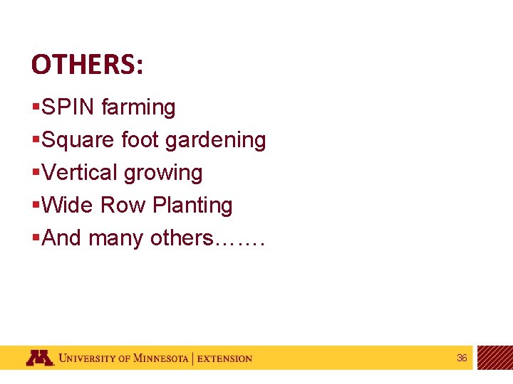 OTHERS: §SPIN farming §Square foot gardening §Vertical growing §Wide Row Planting §And many others…….