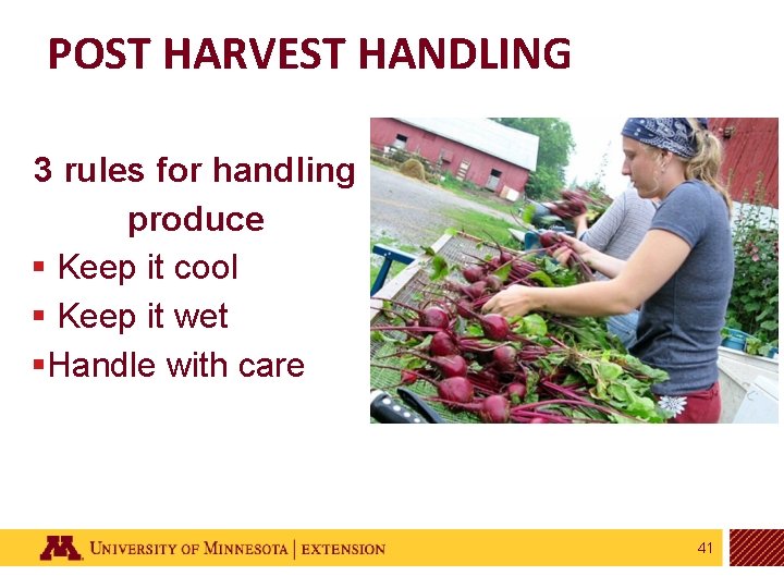 POST HARVEST HANDLING 3 rules for handling produce § Keep it cool § Keep