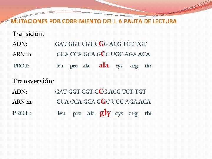 MUTACIONES POR CORRIMIENTO DEL L A PAUTA DE LECTURA Transición: ADN: GAT GGT CGG