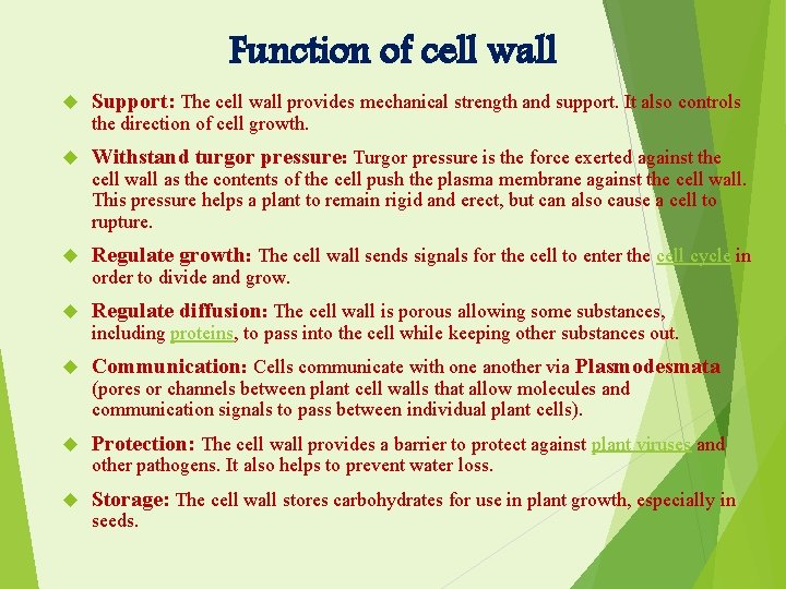 Function of cell wall Support: The cell wall provides mechanical strength and support. It