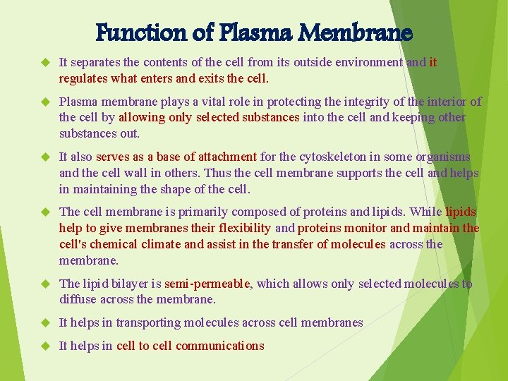 Function of Plasma Membrane It separates the contents of the cell from its outside