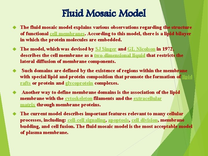 Fluid Mosaic Model The fluid mosaic model explains various observations regarding the structure of