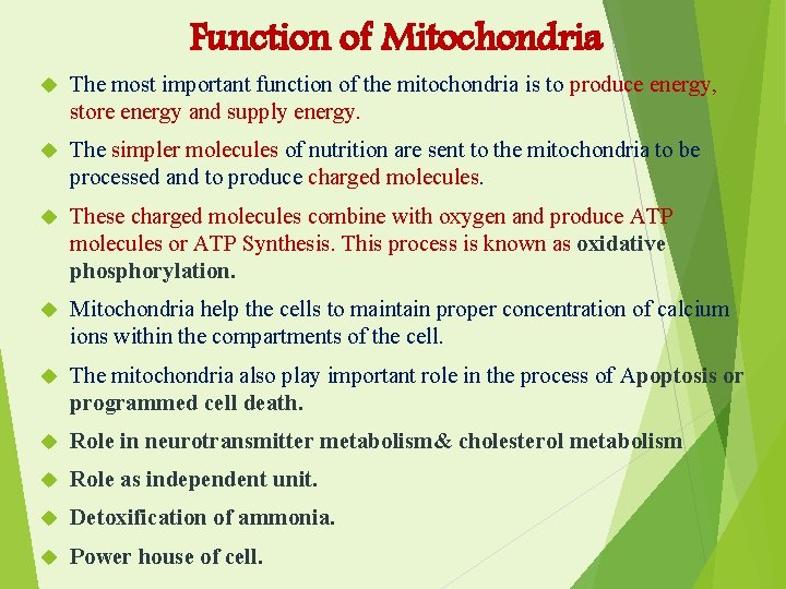 Function of Mitochondria The most important function of the mitochondria is to produce energy,