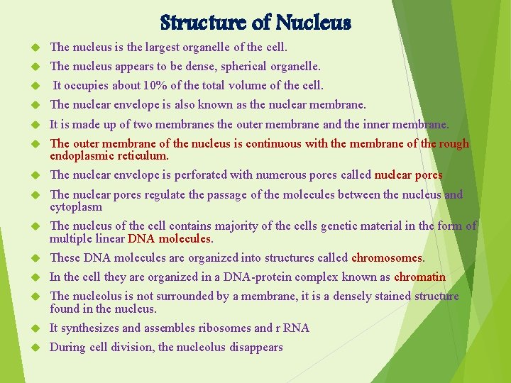 Structure of Nucleus The nucleus is the largest organelle of the cell. The nucleus
