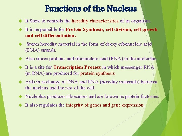 Functions of the Nucleus It Store & controls the heredity characteristics of an organism.