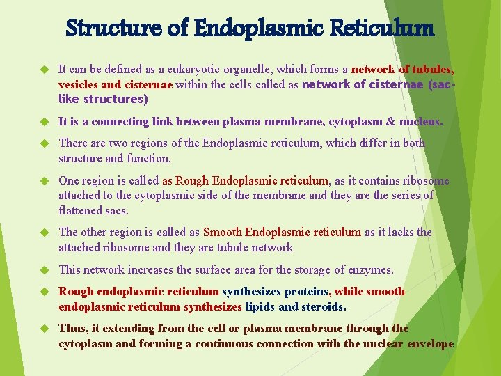 Structure of Endoplasmic Reticulum It can be defined as a eukaryotic organelle, which forms