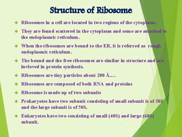 Structure of Ribosomes in a cell are located in two regions of the cytoplasm.