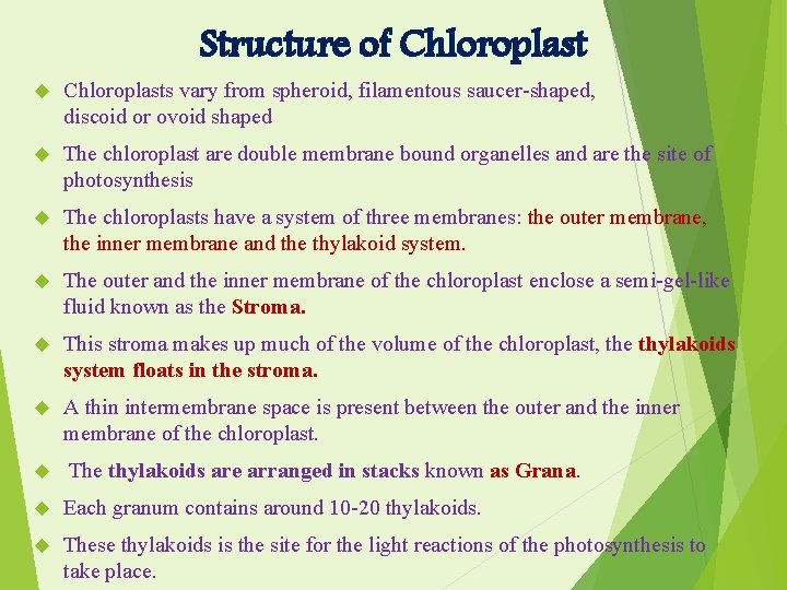 Structure of Chloroplasts vary from spheroid, filamentous saucer-shaped, discoid or ovoid shaped The chloroplast