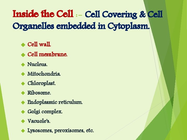 Inside the Cell : - Cell Covering & Cell Organelles embedded in Cytoplasm. Cell