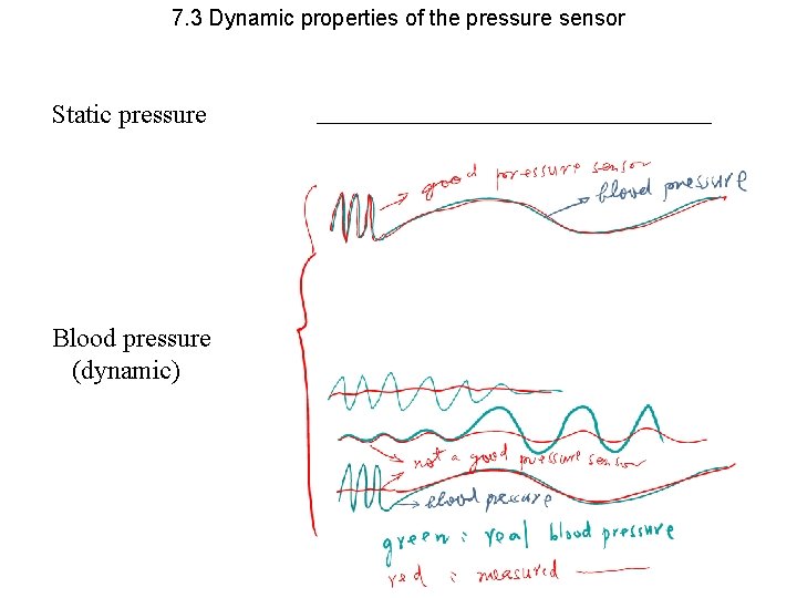 7. 3 Dynamic properties of the pressure sensor Static pressure Blood pressure (dynamic) 