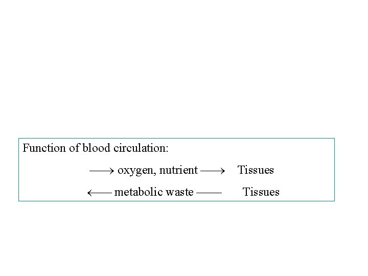 Function of blood circulation: oxygen, nutrient metabolic waste Tissues 