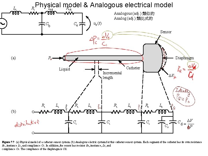 Lc Rc Physical model & Analogous electrical model L R cd cd Cb Analogous