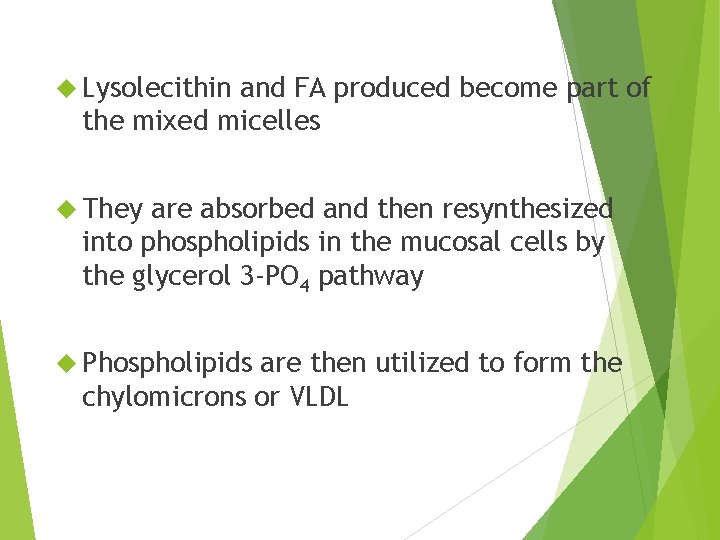  Lysolecithin and FA produced become part of the mixed micelles They are absorbed
