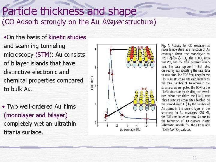Particle thickness and shape (CO Adsorb strongly on the Au bilayer structure) • On
