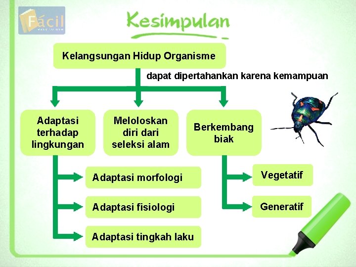 Kelangsungan Hidup Organisme dapat dipertahankan karena kemampuan Adaptasi terhadap lingkungan Meloloskan diri dari seleksi