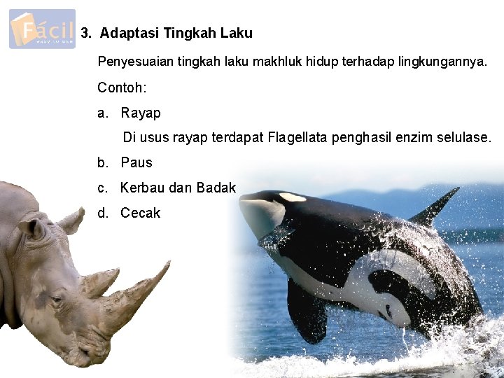 3. Adaptasi Tingkah Laku Penyesuaian tingkah laku makhluk hidup terhadap lingkungannya. Contoh: a. Rayap