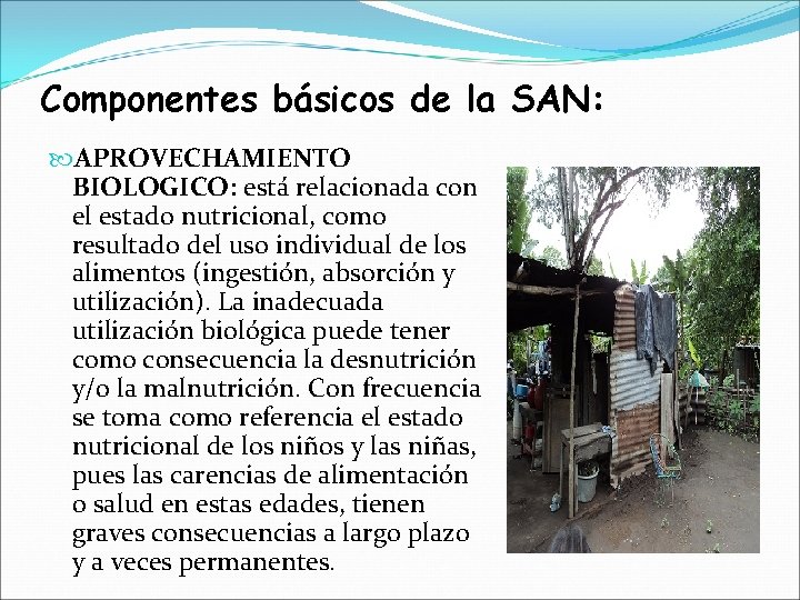 Componentes básicos de la SAN: APROVECHAMIENTO BIOLOGICO: está relacionada con el estado nutricional, como